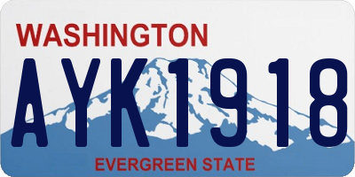 WA license plate AYK1918