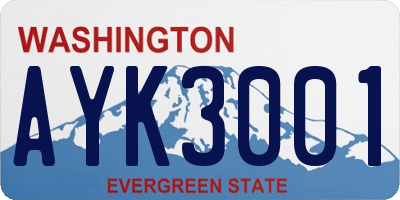 WA license plate AYK3001
