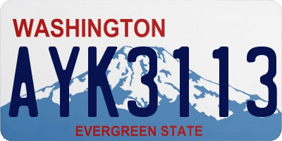 WA license plate AYK3113