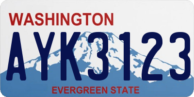 WA license plate AYK3123