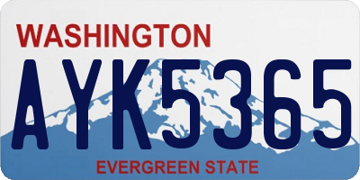WA license plate AYK5365