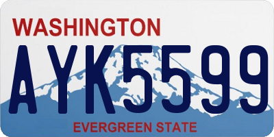 WA license plate AYK5599