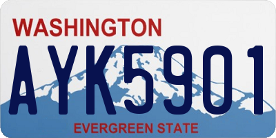 WA license plate AYK5901