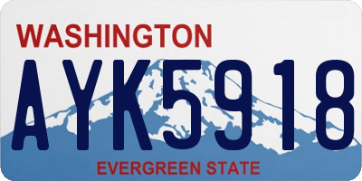 WA license plate AYK5918