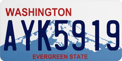 WA license plate AYK5919