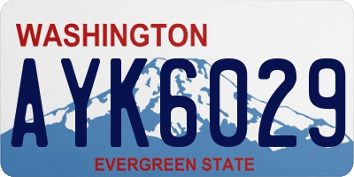 WA license plate AYK6029