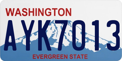 WA license plate AYK7013