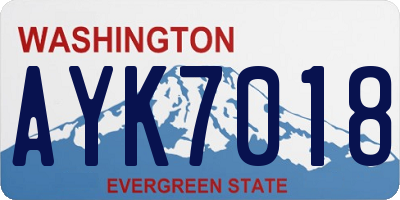 WA license plate AYK7018