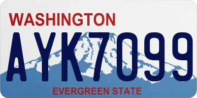 WA license plate AYK7099