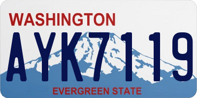 WA license plate AYK7119