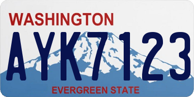 WA license plate AYK7123