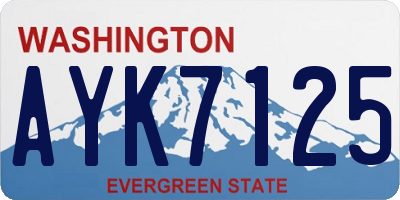 WA license plate AYK7125