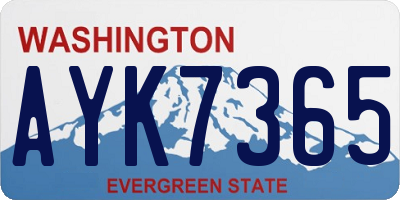 WA license plate AYK7365