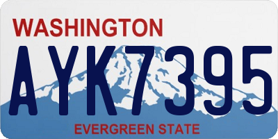WA license plate AYK7395