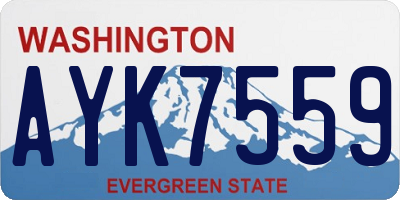 WA license plate AYK7559