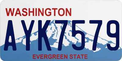 WA license plate AYK7579