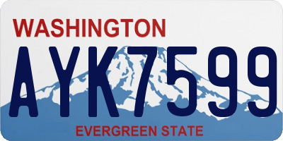 WA license plate AYK7599