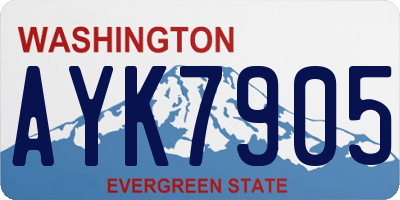 WA license plate AYK7905