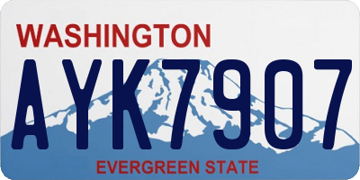 WA license plate AYK7907