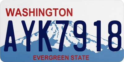 WA license plate AYK7918