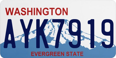 WA license plate AYK7919