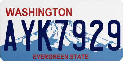 WA license plate AYK7929