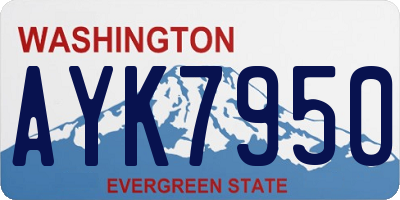 WA license plate AYK7950