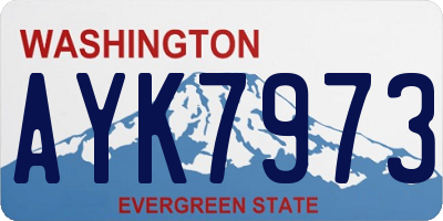 WA license plate AYK7973