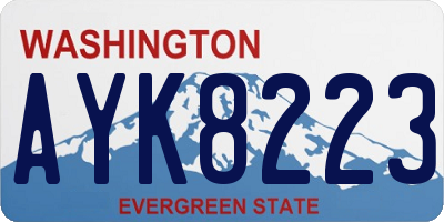 WA license plate AYK8223