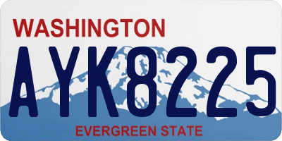 WA license plate AYK8225