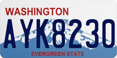 WA license plate AYK8230