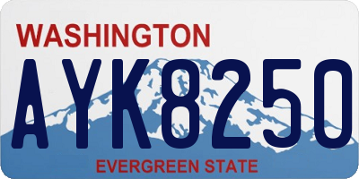 WA license plate AYK8250