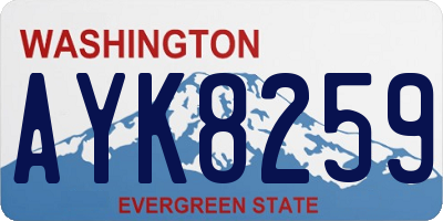 WA license plate AYK8259
