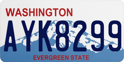 WA license plate AYK8299