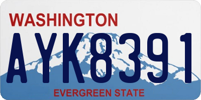 WA license plate AYK8391