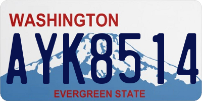 WA license plate AYK8514
