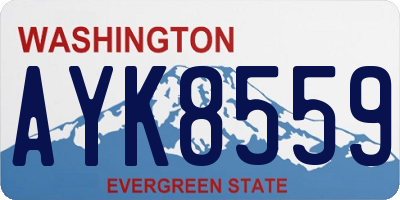 WA license plate AYK8559