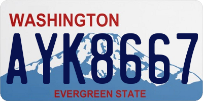 WA license plate AYK8667