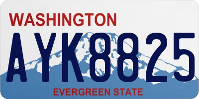 WA license plate AYK8825