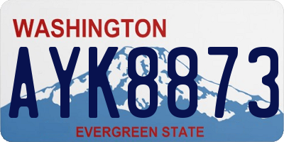 WA license plate AYK8873