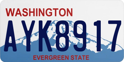WA license plate AYK8917