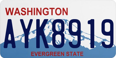 WA license plate AYK8919