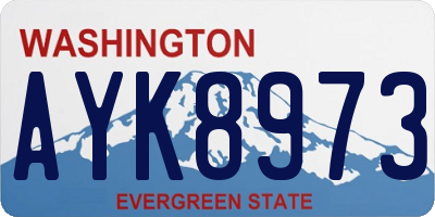 WA license plate AYK8973