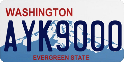 WA license plate AYK9000