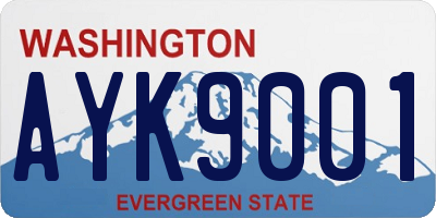 WA license plate AYK9001