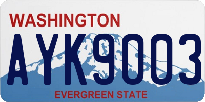 WA license plate AYK9003
