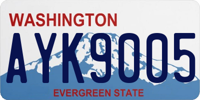 WA license plate AYK9005