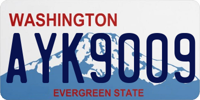 WA license plate AYK9009