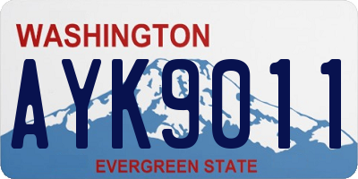 WA license plate AYK9011