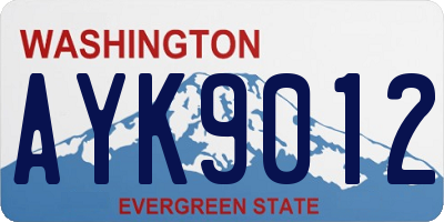 WA license plate AYK9012